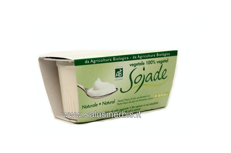 Yogurt di soia naturale