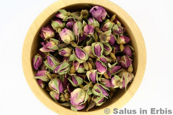500g boccioli di rosa essiccati, tè ai fiori di rosa -  Italia