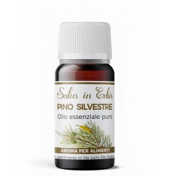 Pino silvestre - Olio Essenziale 10 ml