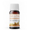 Zenzero - Olio Essenziale 10 ml